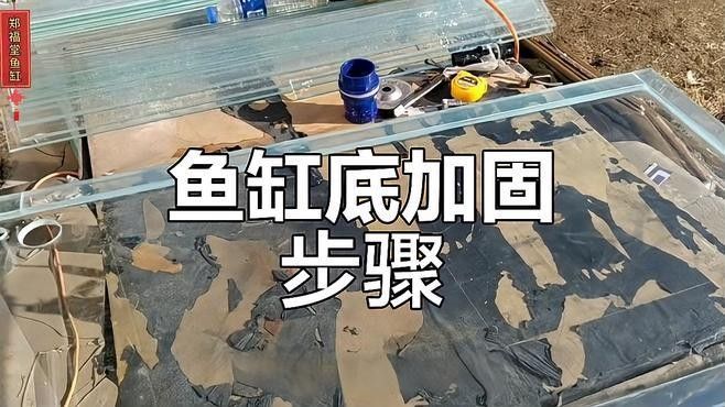 龍魚缸底座如何加固