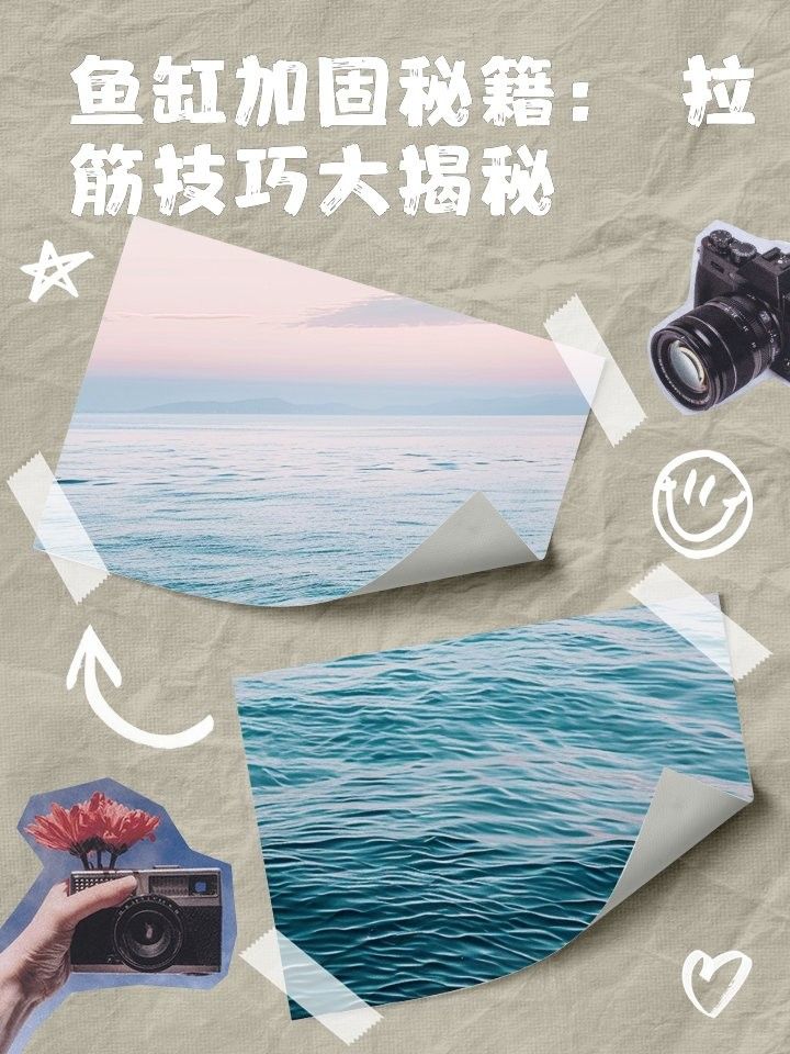 龍魚缸底座如何加固