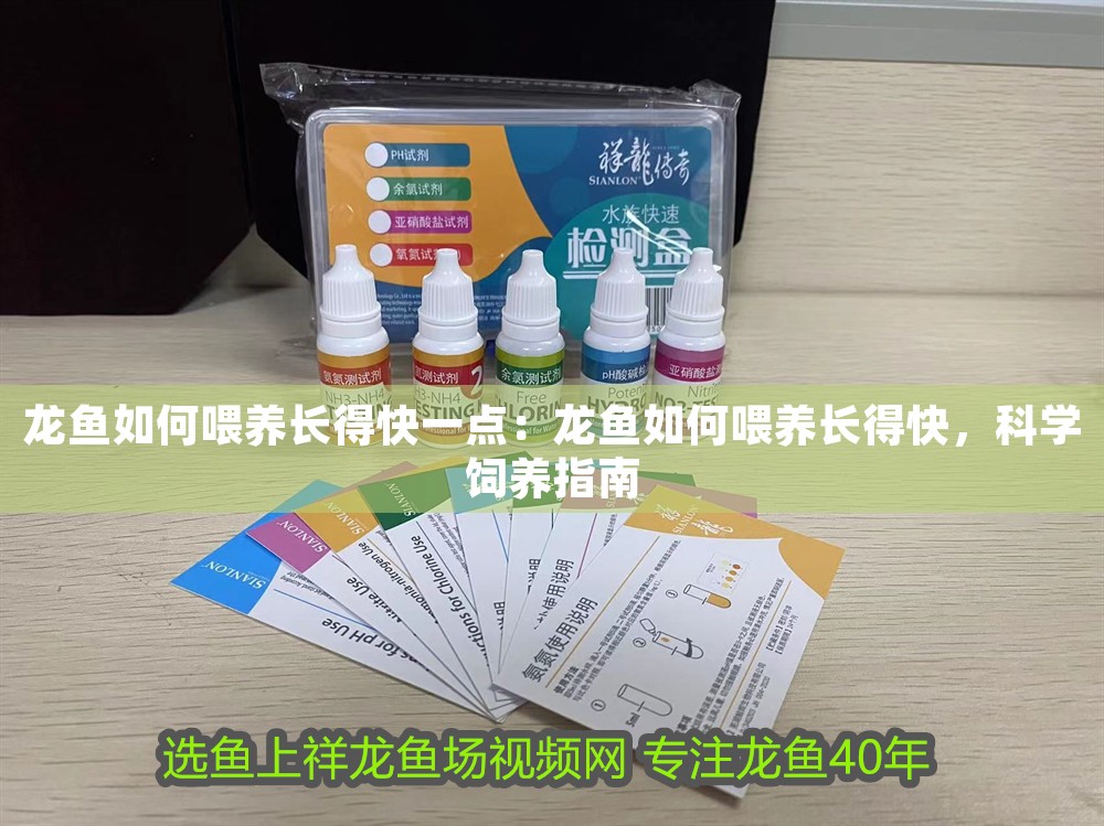 龍魚如何喂養長得快一點：龍魚如何喂養長得快，科學飼養指南