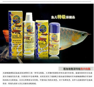 龍魚4號治療【傲深龍魚4號和青霉素治療龍魚4號治療需要準確判斷】
