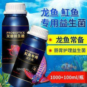 養龍魚需要益生菌嗎為什么：養龍魚需要益生菌嗎 養龍魚需要益生菌嗎為什么：養龍魚需要益生菌嗎 龍魚百科 第3張