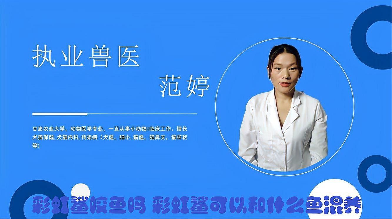 彩虹鯊和雷龍魚可以混養嗎