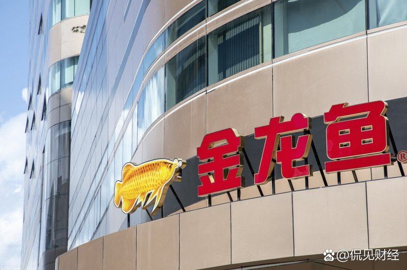 金龍魚臺灣的