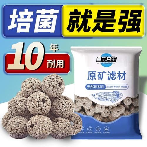 金龍魚臺灣的