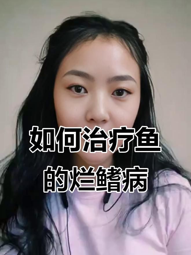 龍魚爛鰭治療期間需要停食嗎？