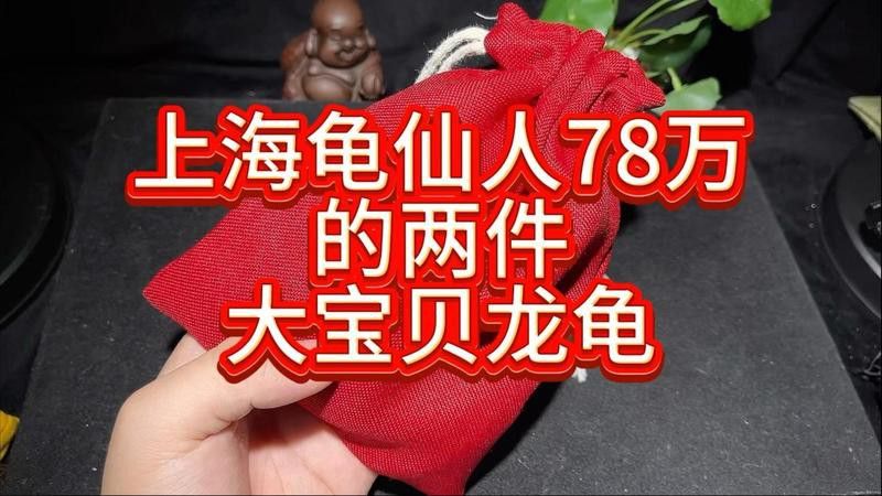 龍龜圖片價格范圍是多少？