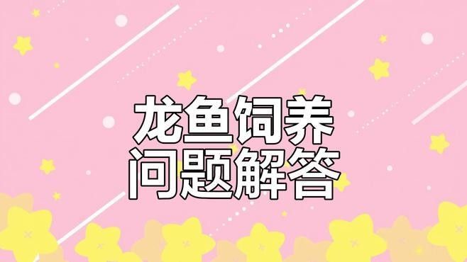龍魚濾材是一種好還是組合好
