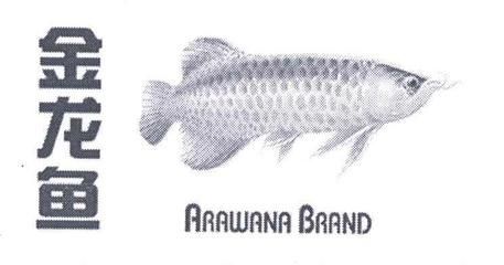金龍魚的英文 arawana：金龍魚的英文arawana\"