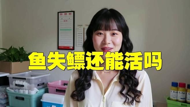 銀龍魚嘴往上翹好不好養