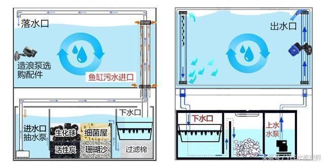 怎樣的魚缸不用換水呢（如何控制魚缸內生物數量生態魚缸過濾系統的選購）