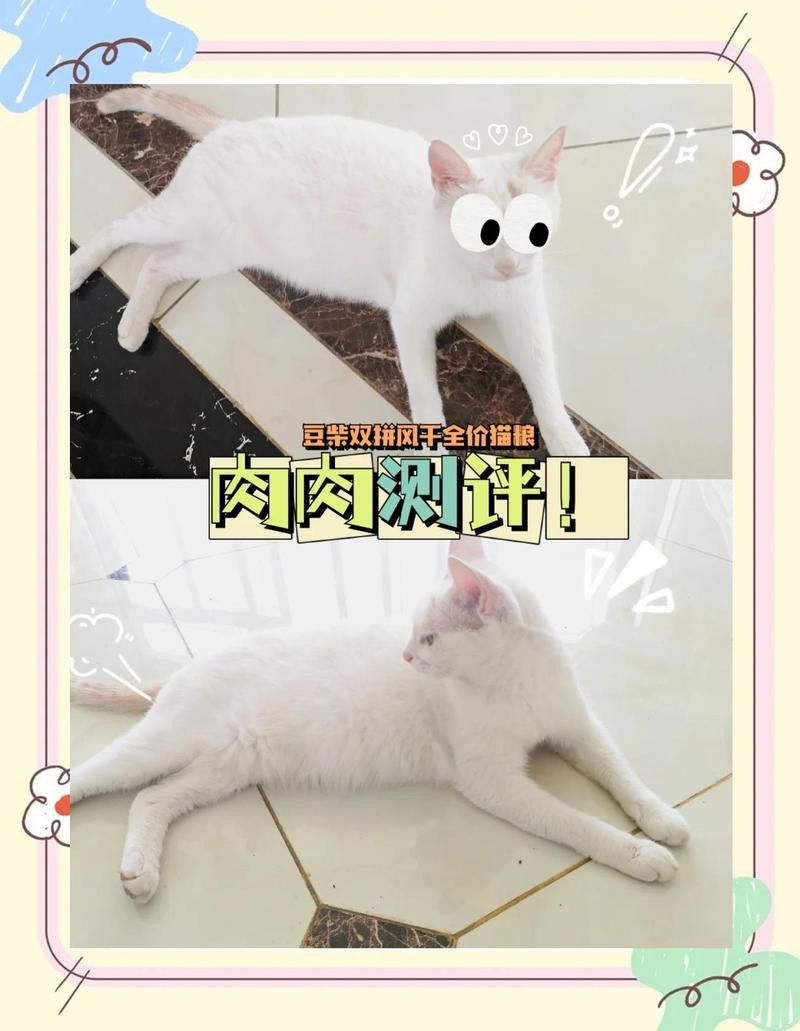 威霸龍貓糧有哪些營(yíng)養(yǎng)成分