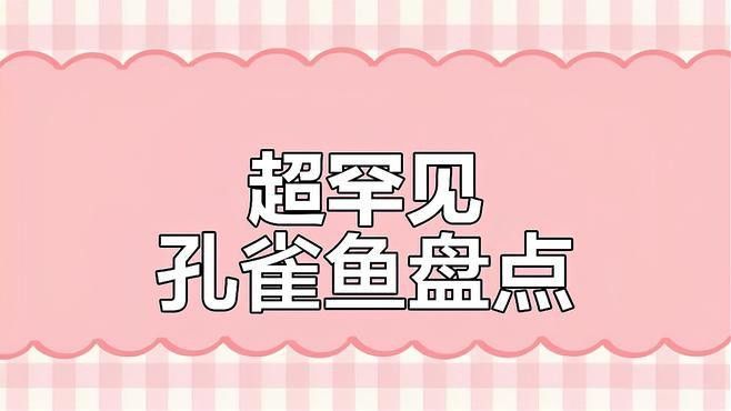 有哪些稀有品種的孔雀龍魚？