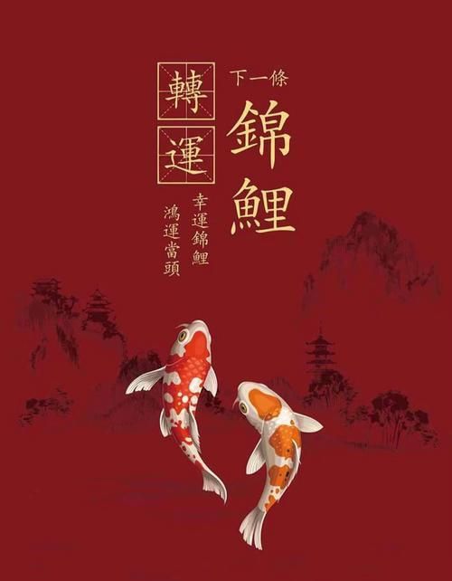 錦鯉白字圖片唯美