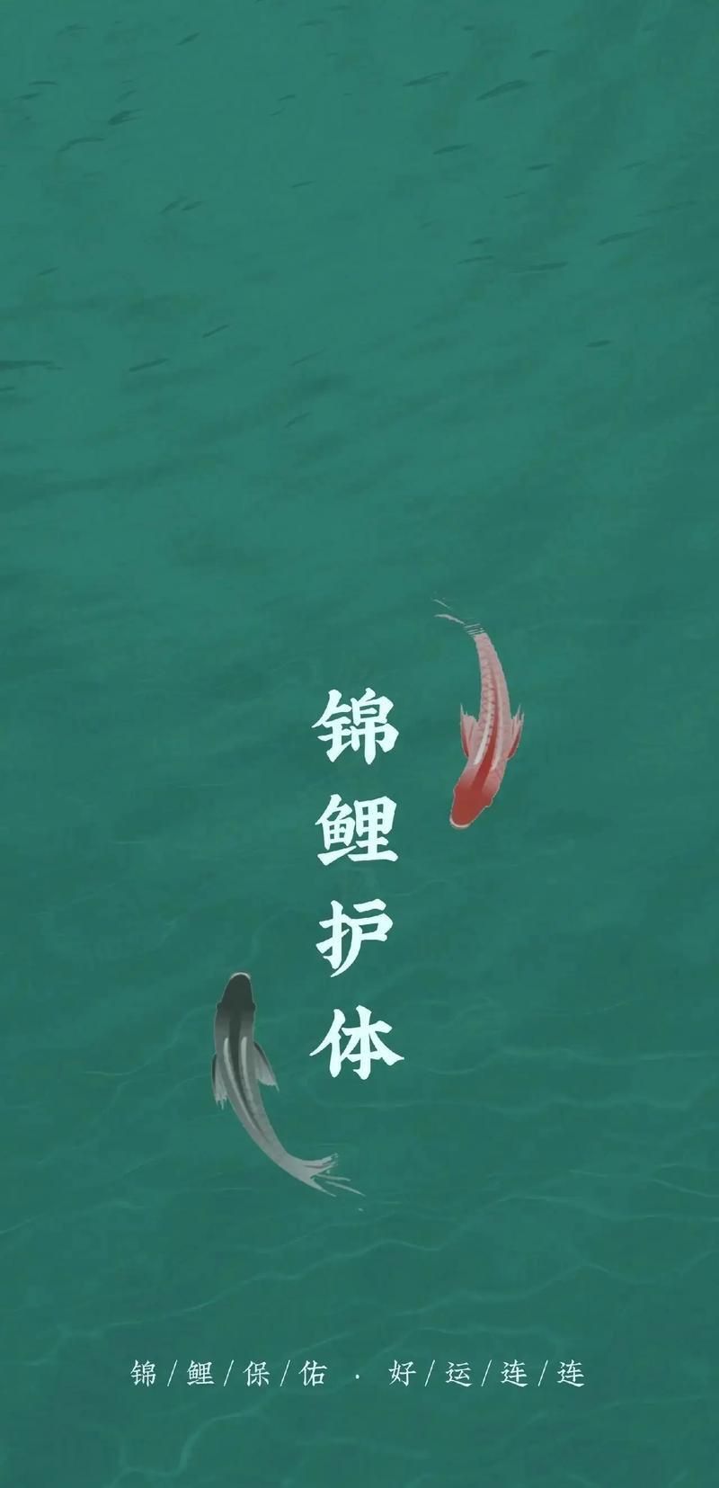 錦鯉白字圖片唯美