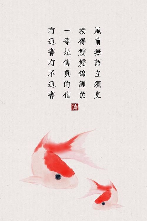 錦鯉白字圖片唯美
