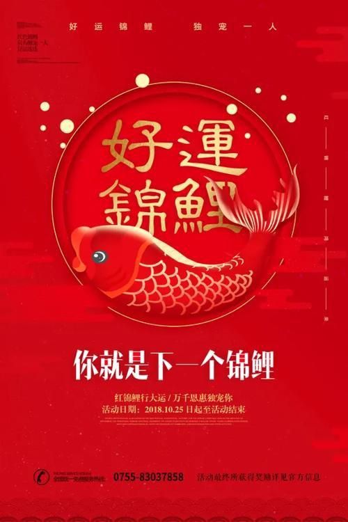 錦鯉白字圖片唯美