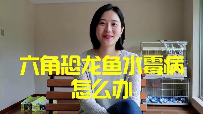 六角龍魚生病了應該怎么辦？