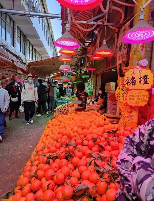 昆明龍魚市場營業時間表圖片