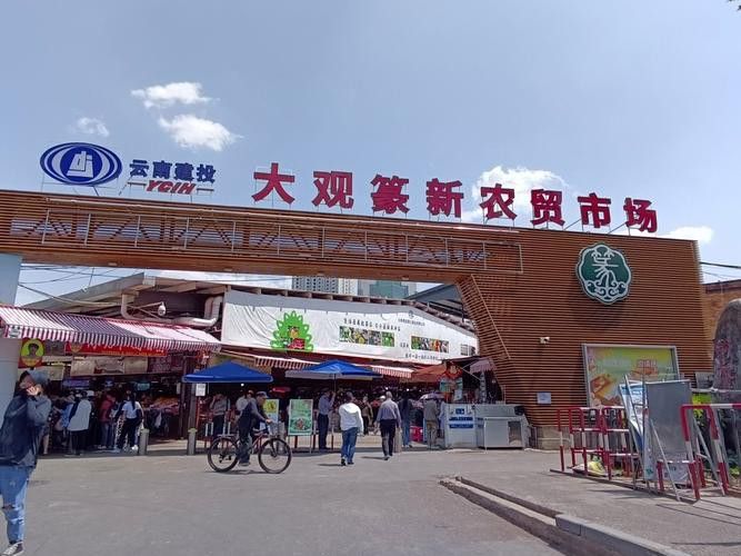 昆明龍魚市場營業時間表圖片