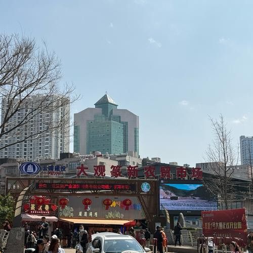 昆明龍魚市場營業時間表圖片