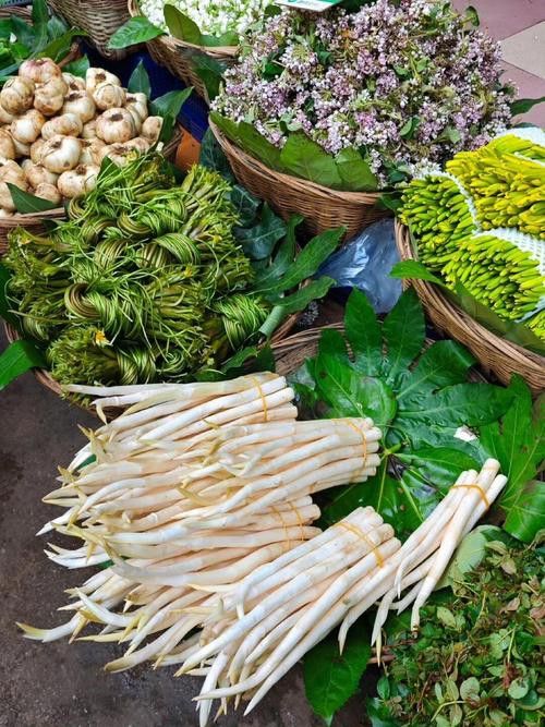 昆明龍魚市場營業時間表圖片