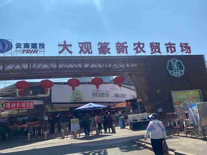 昆明龍魚市場營業時間表圖片
