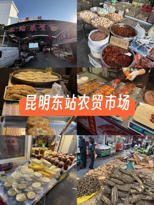 昆明龍魚市場營業時間表圖片