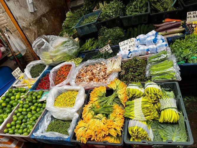 昆明龍魚市場營業時間表圖片