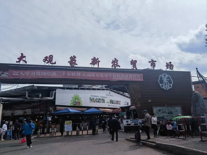 昆明龍魚市場營業時間表圖片
