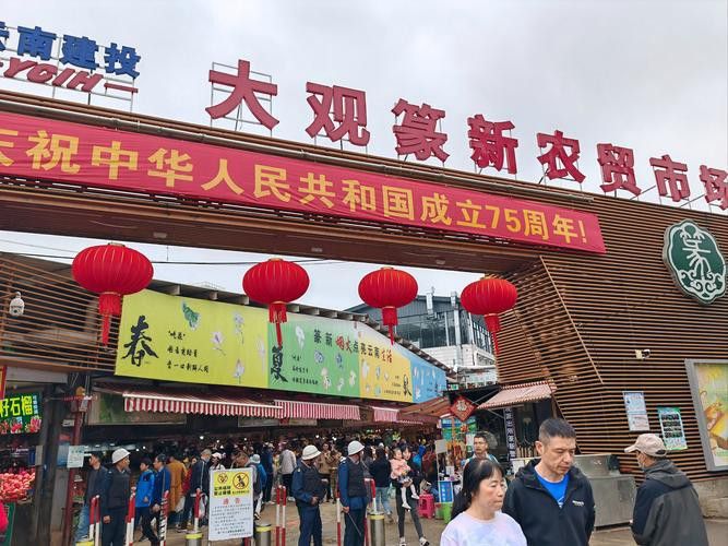 昆明龍魚市場營業時間表圖片
