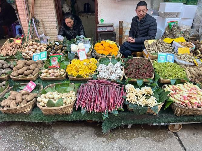 昆明龍魚市場營業時間表圖片