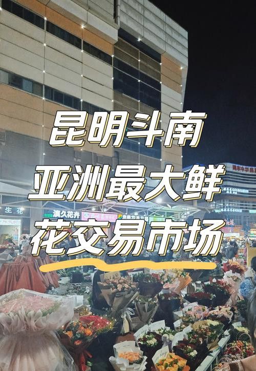 昆明龍魚市場營業時間表圖片