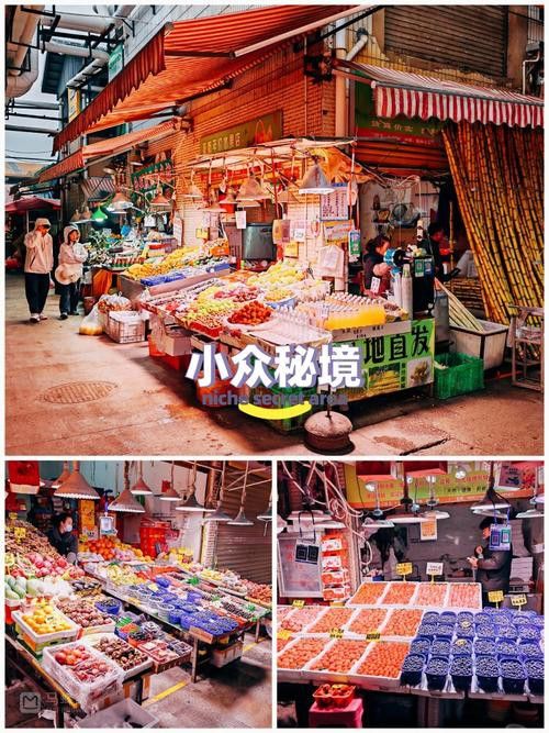 昆明龍魚市場營業時間表圖片