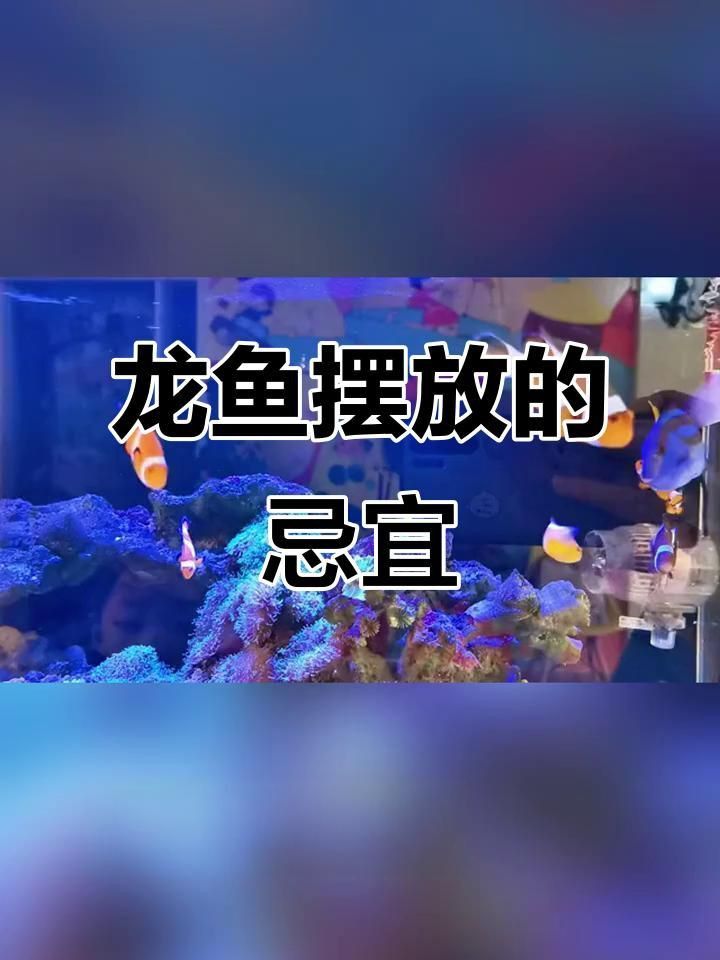 龍魚鎮宅最厲害的三個地方