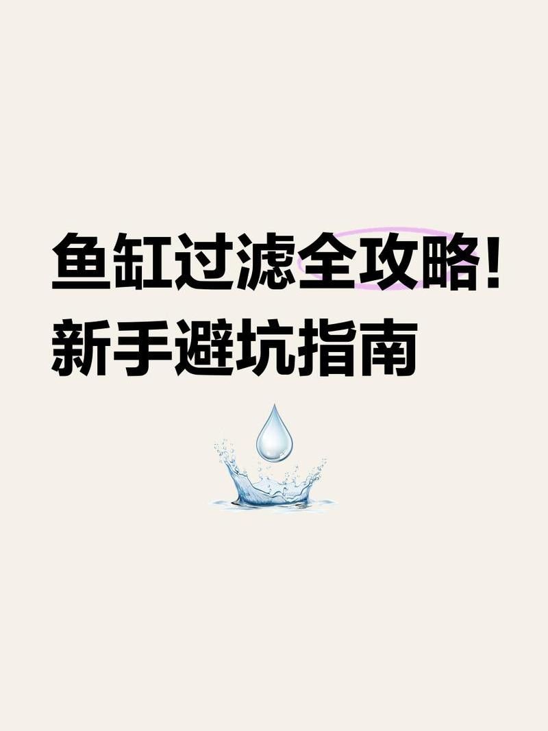 龍魚缸過濾系統如何選擇？