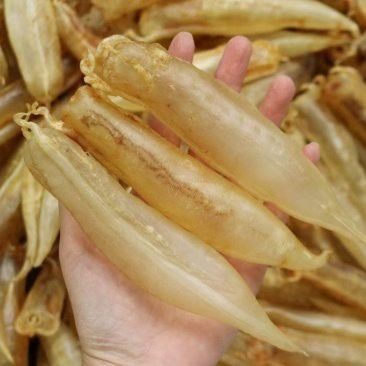 大金龍魚膠,1斤4頭,一斤多少錢