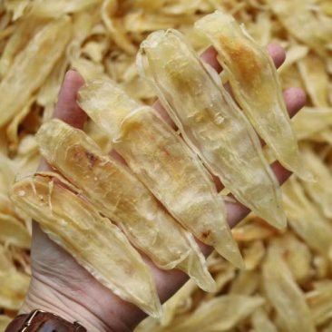 大金龍魚膠,1斤4頭,一斤多少錢