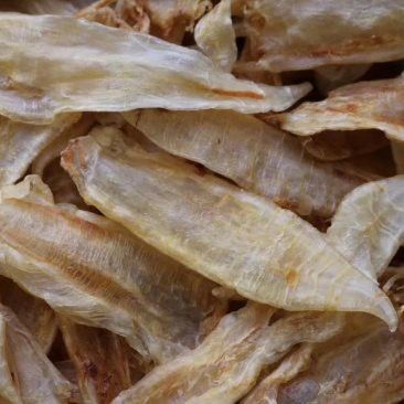 大金龍魚膠,1斤4頭,一斤多少錢