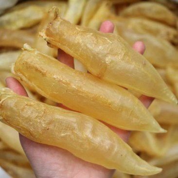 大金龍魚膠,1斤4頭,一斤多少錢