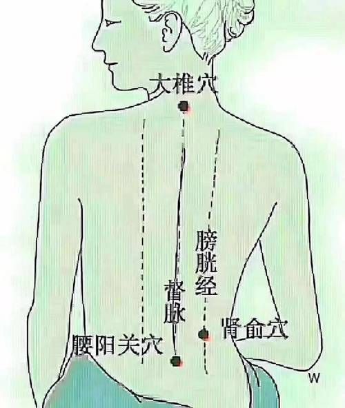金龍過背的準確位置圖