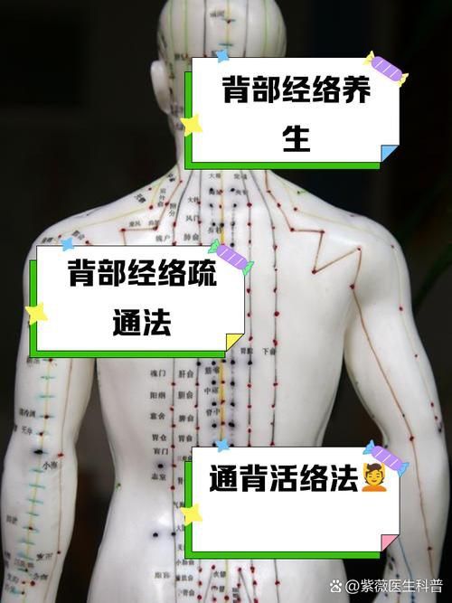 金龍過背的準確位置圖