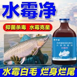 有哪些品牌的水霉病藥物推薦？