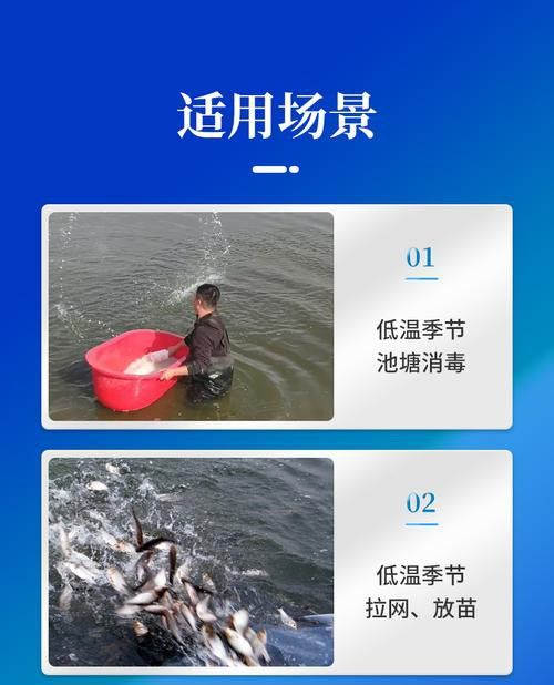 有哪些品牌的水霉病藥物推薦？