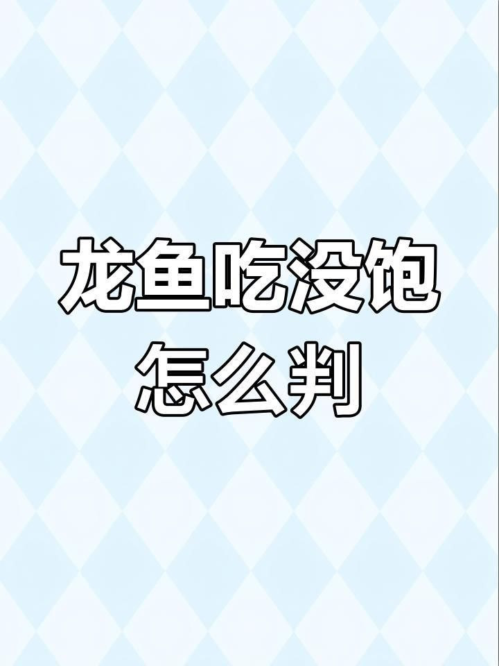 龍魚用什么缸最好：龍魚魚缸品牌推薦,龍魚魚缸尺寸計(jì)算方法