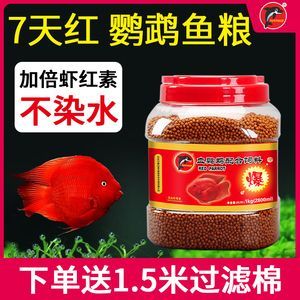 小紅龍魚飼料品牌口碑對比：小紅龍魚飼料品牌品牌在市場上口碑良好