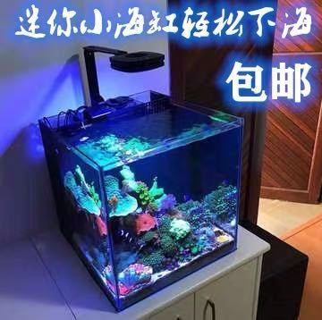 藍昂（LANANG）魚缸（藍昂魚缸隔離盒使用體驗）