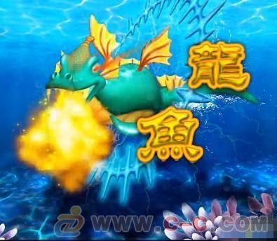 怎么讓龍魚開口吃飼料呢：如何讓龍魚不怕人