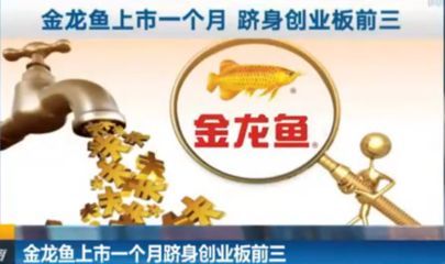 金龍魚機構：金龍魚機構評級及預測信息