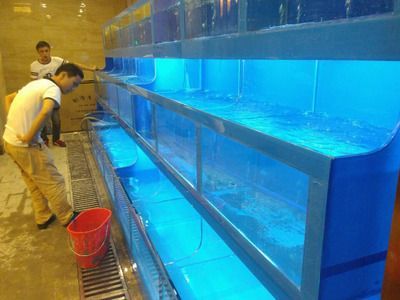 養(yǎng)龍魚幾天換次水最好：養(yǎng)龍魚時(shí)換水頻率并非固定不變而是需要根據(jù)多種因素決定