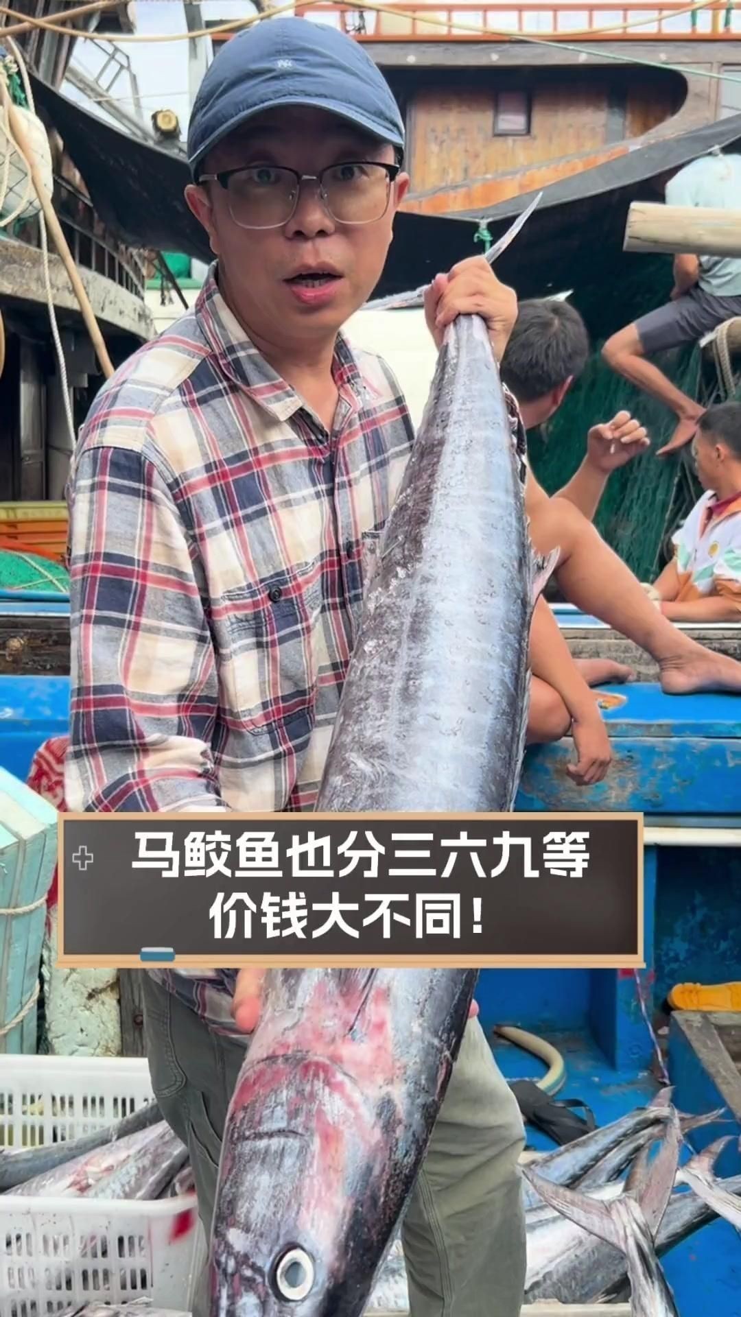 馬鮫魚屬于什么檔次